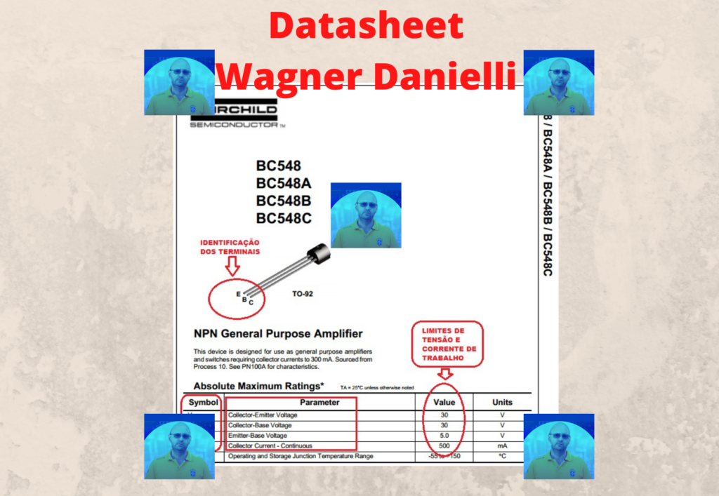 Datasheet Wagner Danielli